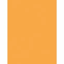 Multipurpose Colored Paper, Hyper Orange, 24 Lb., 500 Sheets/Ream